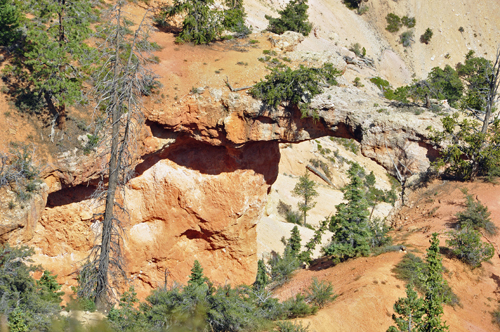 zoom in on a cave 